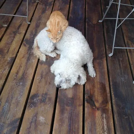 Hotel D Hotes The Resid 3*