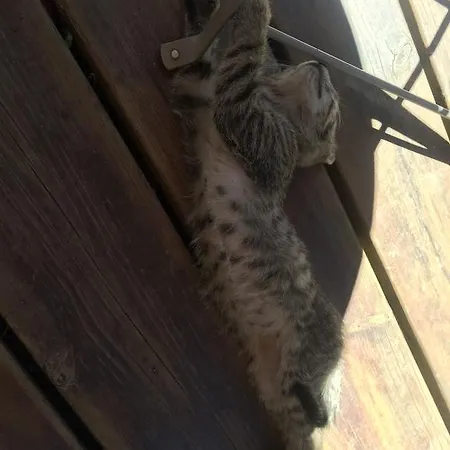 Hotel D Hotes The Resid