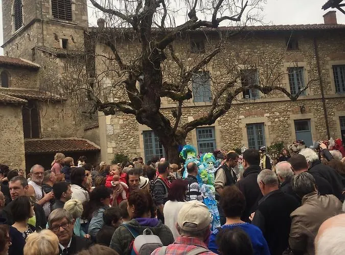 D Hotes The Resid 3* Pérouges